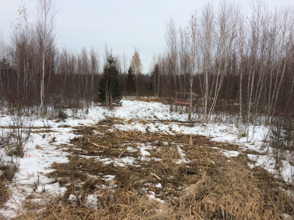 marchington excavation lot clearing